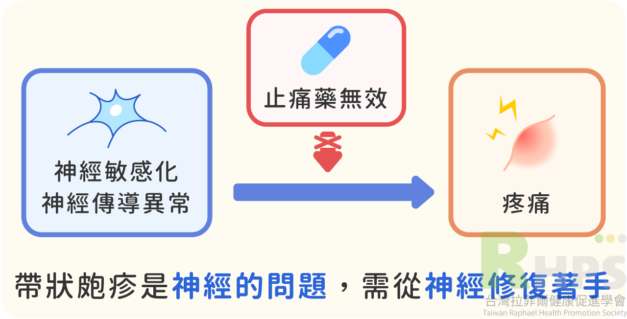 造成帶狀皰疹(皮蛇)的原因  