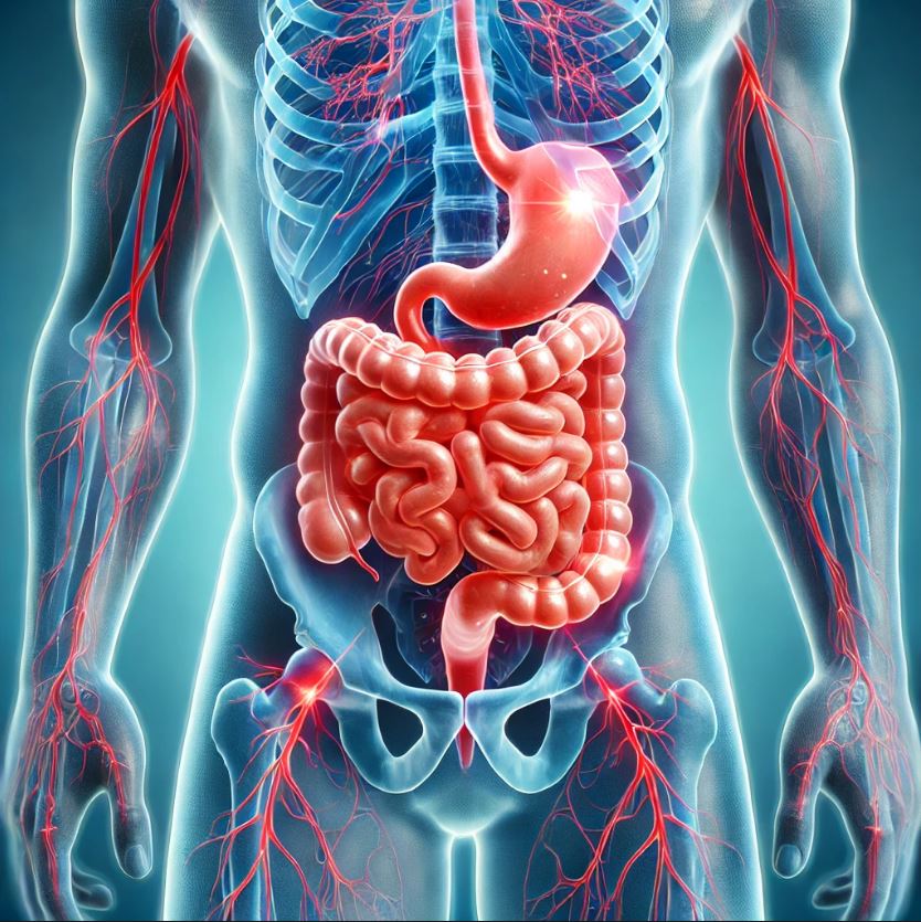 您知道大腸激躁症也是種自律神經失調嗎?  