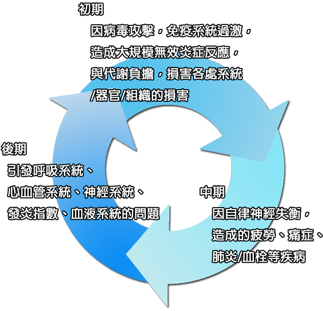  新冠染疫者最大的風險不是病毒侵襲，反而是自身免疫過激的細胞因子風暴...  
